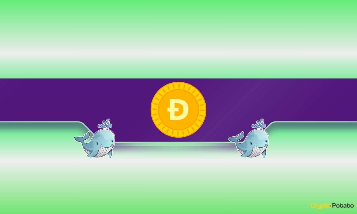 Dogecoin-whales-make-a-huge-move:-is-doge’s-price-poised-for-a-rally?