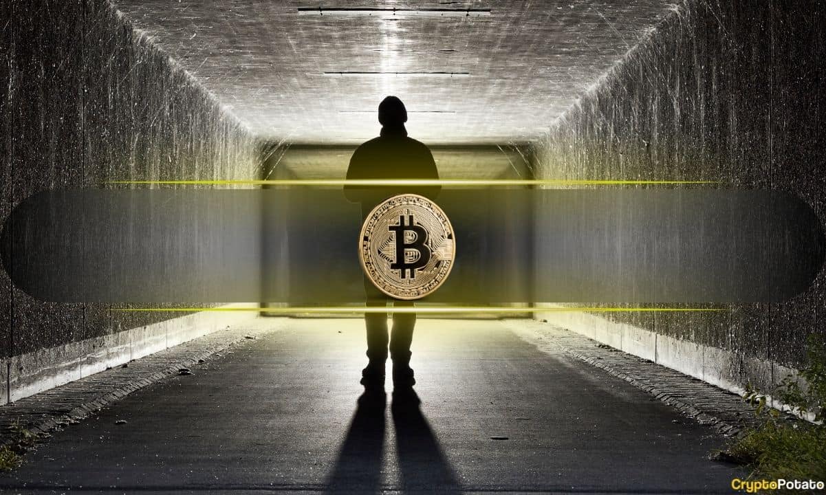 New-clues-emerge:-was-satoshi-nakamoto-active-until-2014?