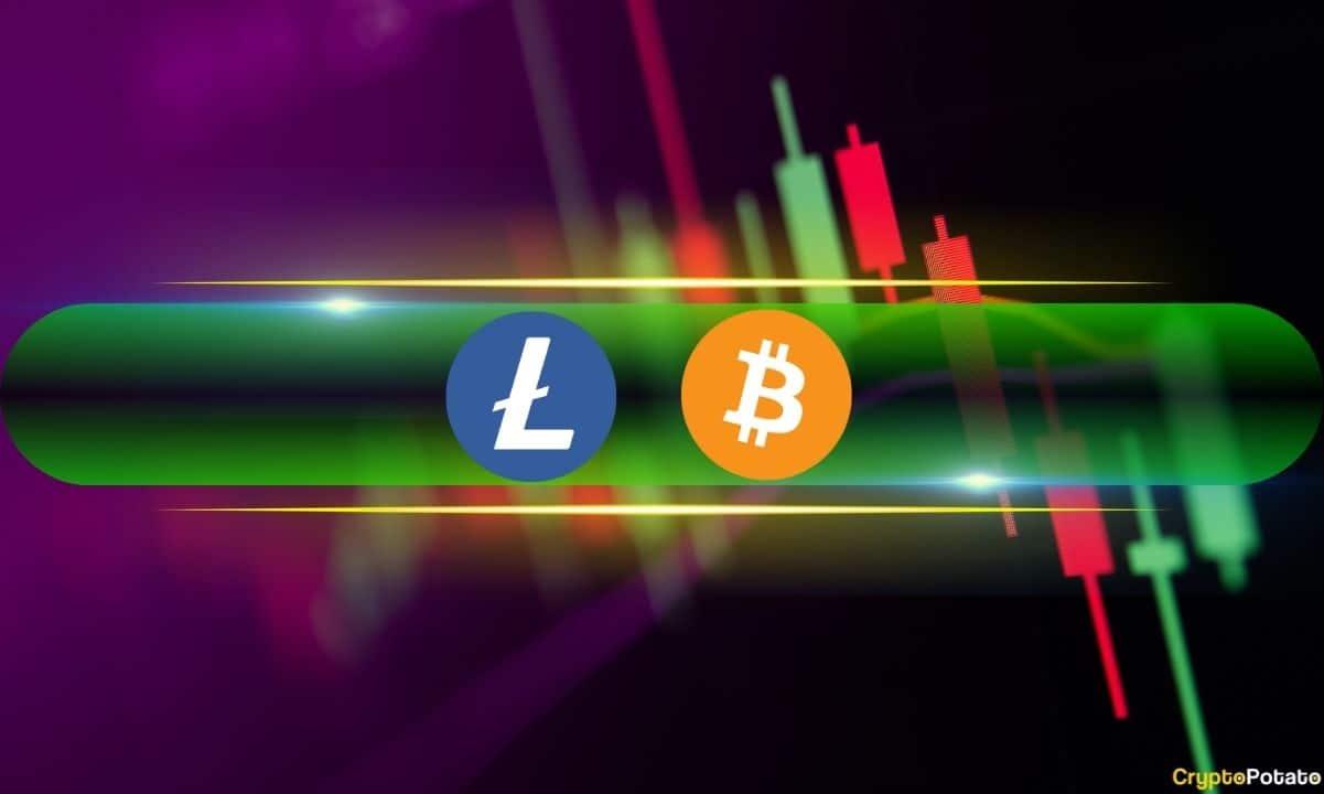 Litecoin-steals-the-show-as-bitcoin-recovers-from-2-week-low-(market-watch)