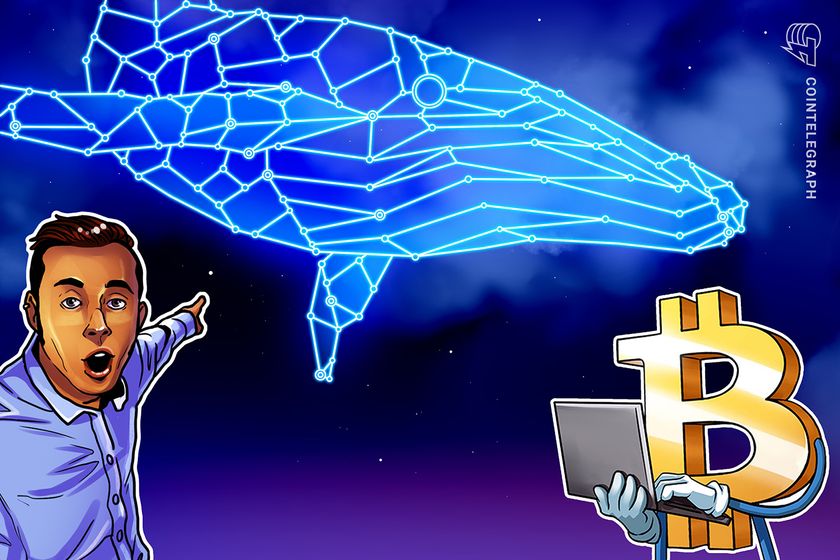 Bitcoin-whale-‘spoofy’-accumulates-$344m-btc-as-price-tumbles-below-$90k