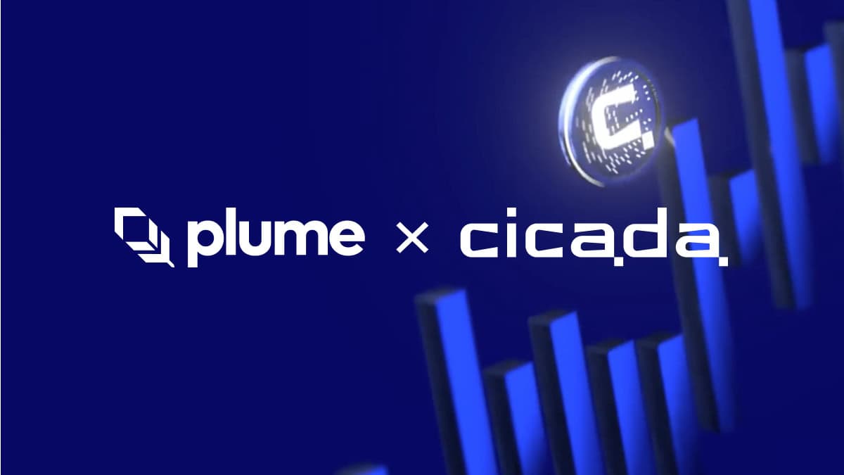 Plume-and-cicada-launch-early-stage-investment-program-for-rwafi-projects