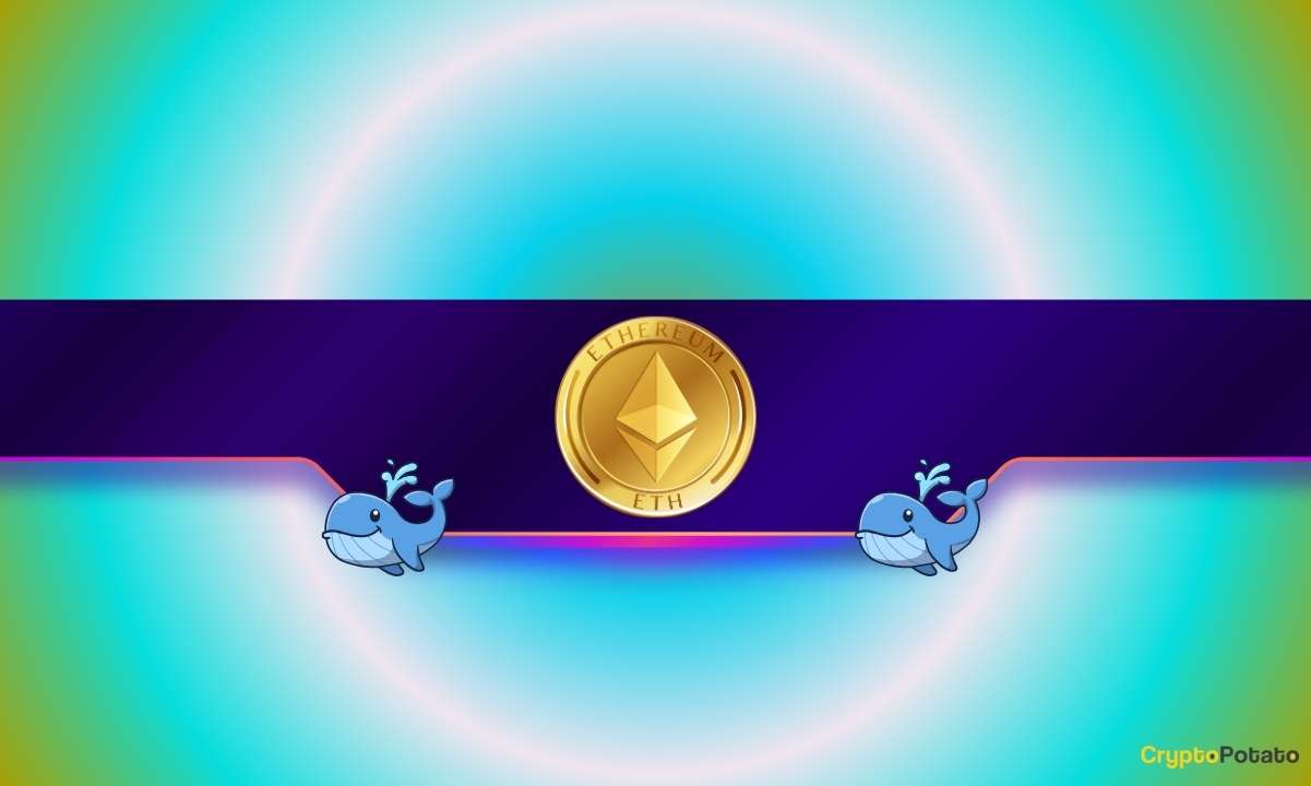 Ethereum-whales-accumulate-millions-of-tokens:-eth-price-surge-on-the-way?