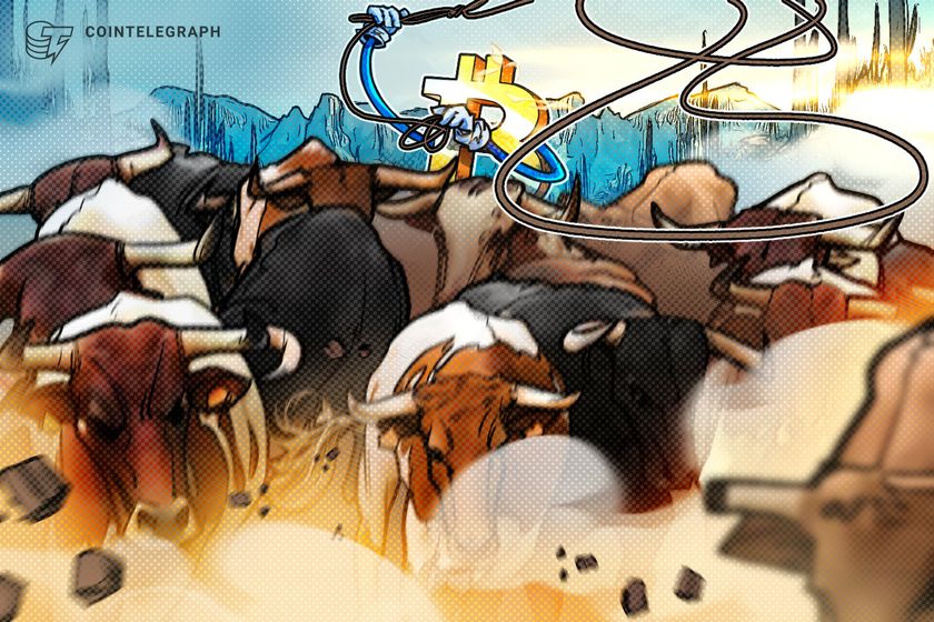 Crypto-biz:-the-bitcoin-bull-market-isn’t-dead-yet