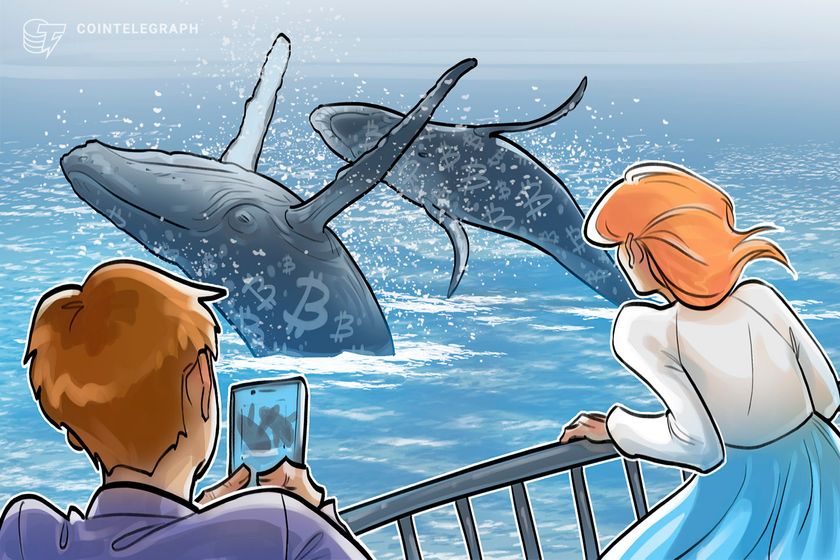 Bitcoin-whales-hint-at-$80k-'market-rebound'-as-binance-inflows-cool